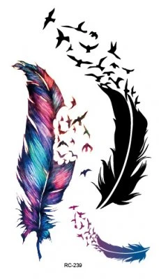 FEATHER BIRDS