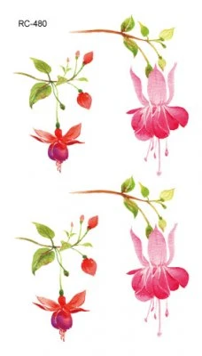 Fuchsia Flowers