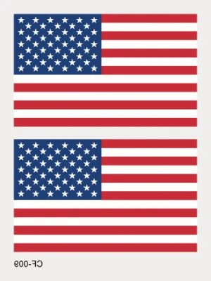 Flag of the United States of America