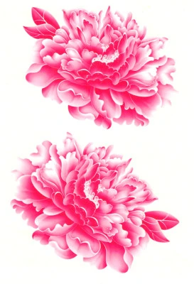 Pink Peony