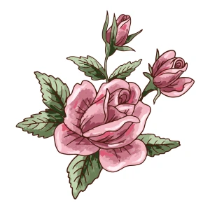 Pink Roses